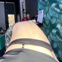 jacelynhelland's Profile Picture