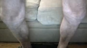 Recent Screenshot of  jahnkephilip66