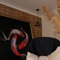 james_carter7's Profile Picture