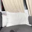 jamesbaby2000's Profile Picture