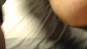Recent Screenshot of  jamesbobbaro