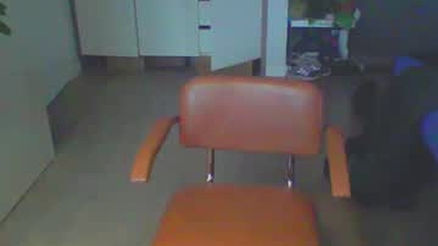 jankujan