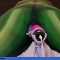 jarvissia's Profile Picture