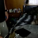 jaynike15's Profile Picture