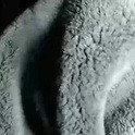 jeffersonel's Profile Picture