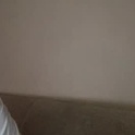 jelmerkrijn's Profile Picture