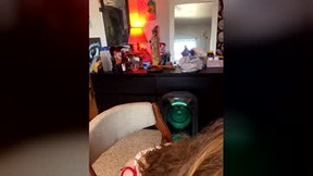 Recent Screenshot of  jenellehayesxoxo