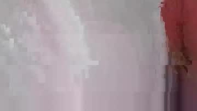 jeremymeyerprofessional