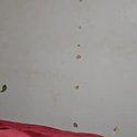 jhkhjku538466's Profile Picture