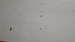 Recent Screenshot of  jhkhjku538466