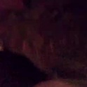 jkmodula's Profile Picture