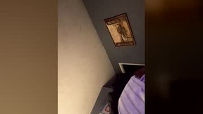 Recent Screenshot of  joeharris77com