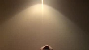 Recent Screenshot of  johnno778