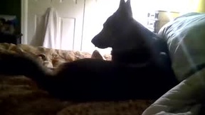 Recent Screenshot of  jonat1e