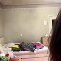 josephineprice's Profile Picture