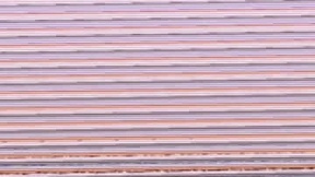 Recent Screenshot of  juicybigassh