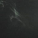justchloex's Profile Picture