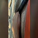 justjerkin4you0's Profile Picture