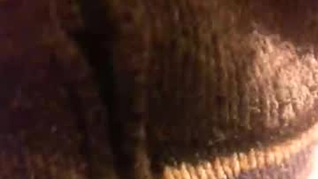 kamabo2