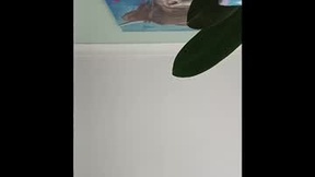 Recent Screenshot of  karnathra