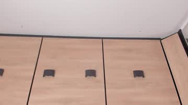 karol_lewiss