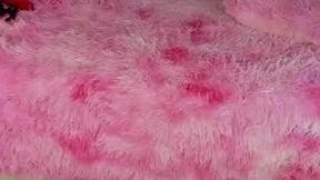 Recent Screenshot of  katalella_franka