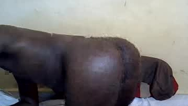 kenyaprince4