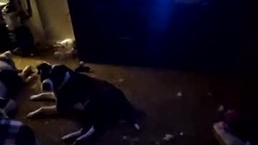 Recent Screenshot of  killakent1983