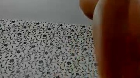 Capture D'écran Récente de kinky705116