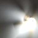 kipp62282's Profile Picture