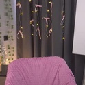 kissiekat's Profile Picture