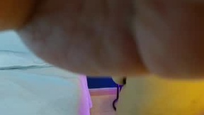 Recent Screenshot of  kittendanna