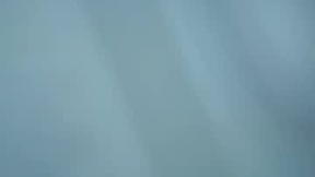 Recent Screenshot of  kitty_nara