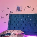kitty_nicolle's Profile Picture