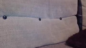 Aktueller Screenshot von kitty_passions