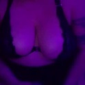 kittycompanion's Profile Picture