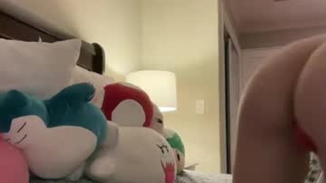 kittypurr79