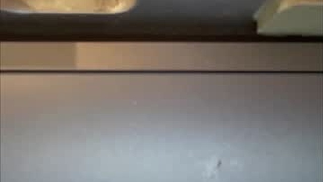 kittysocks88