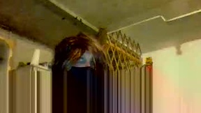 Recent Screenshot of  klee6666