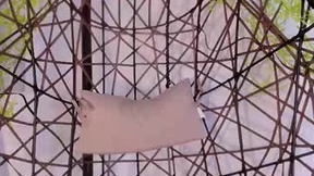 Recent Screenshot of  kloe_skinny