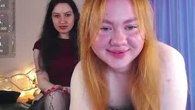 koshechka_sobachka