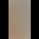 kovvur888's Profile Picture