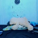 kratos_22cm's Profile Picture