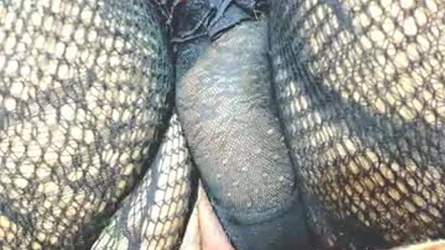 krystarxxx