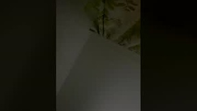 Recent Screenshot of  kurt46935