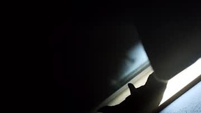 Recent Screenshot of  kurtjeffson