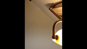 Recent Screenshot of  kushixxx69