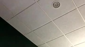 Recent Screenshot of  kylegotittt