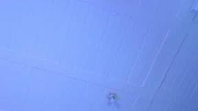 Recent Screenshot of  kylie_reyes