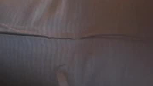 l1t0250